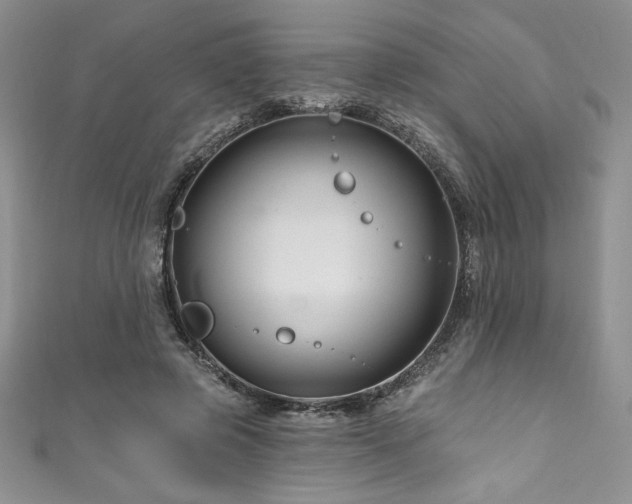 X0000111200545200907011435