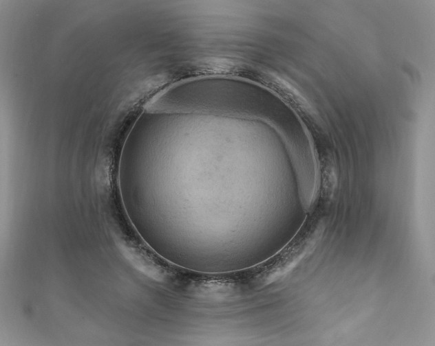 X0000111200546200907011435