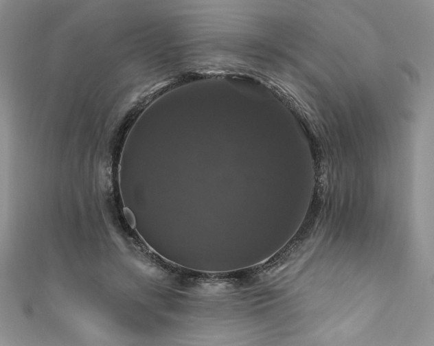 X0000111200547200907011435