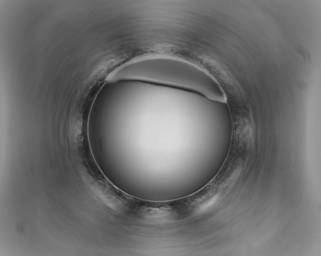 X0000111200548200907011435