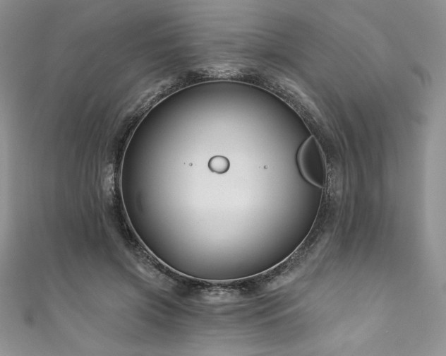 X0000111200549200907011435