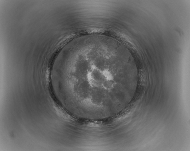 X0000111200550200907011435