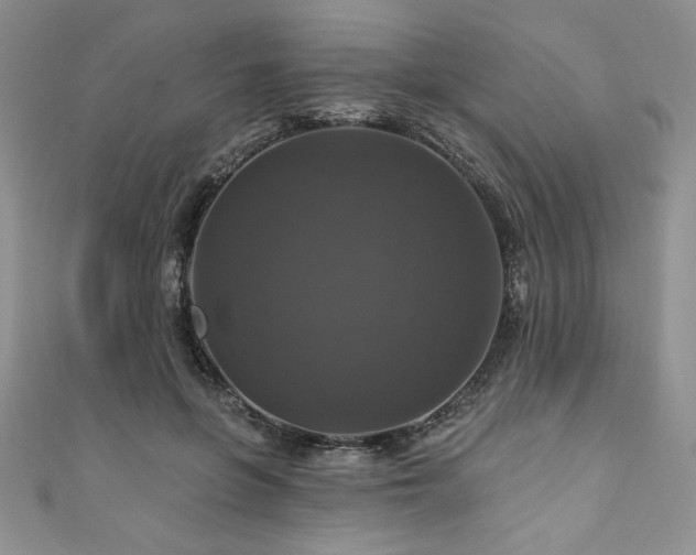 X0000111200551200907011435