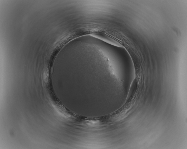 X0000111200552200907011435