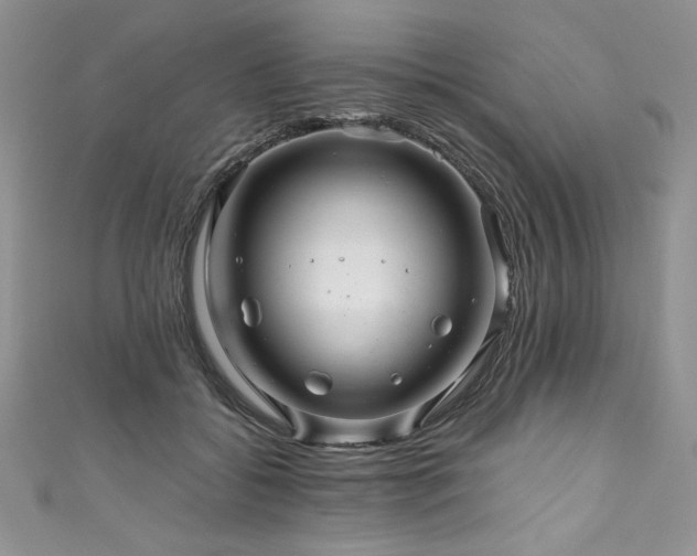 X0000111200556200907011435