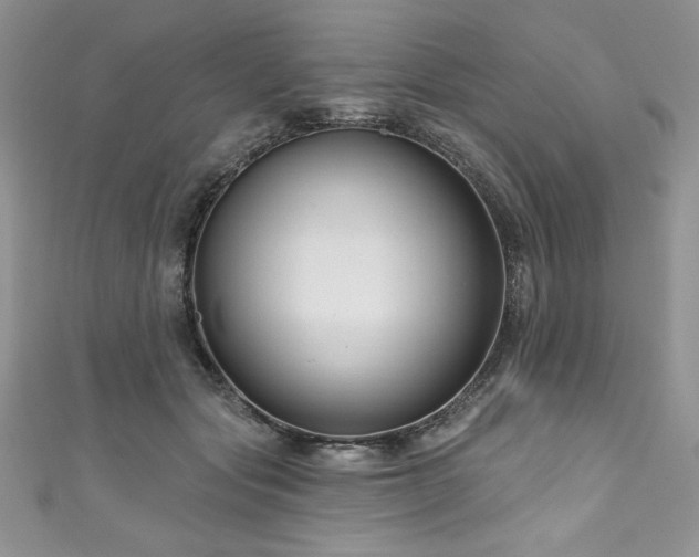 X0000111200557200907011435