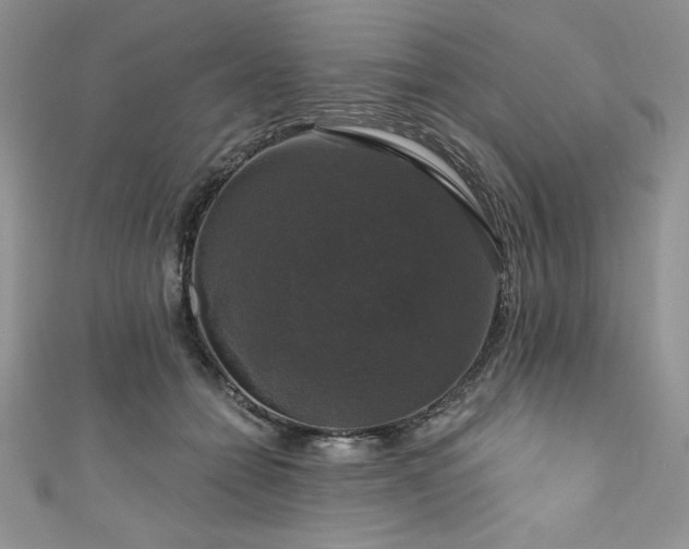 X0000111200558200907011435