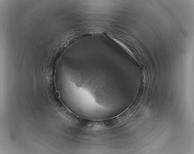 X0000111200559200907011435