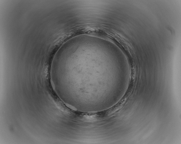 X0000111200560200907011435