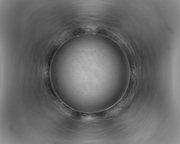 X0000111200561200907011435