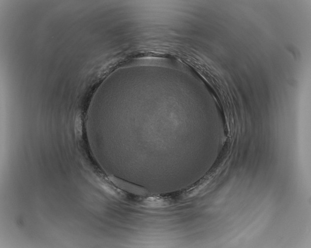 X0000111200562200907011435