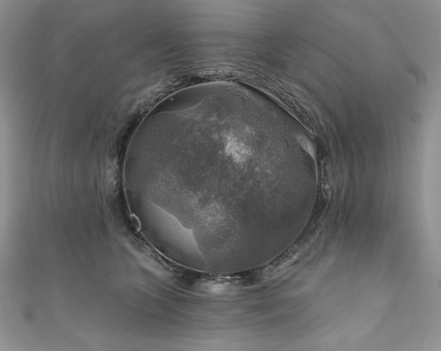 X0000111200563200907011435