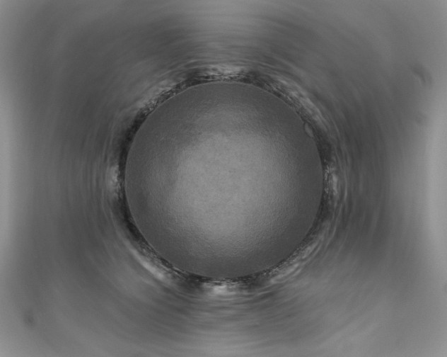 X0000111200564200907011436