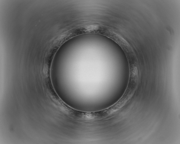 X0000111200565200907011436