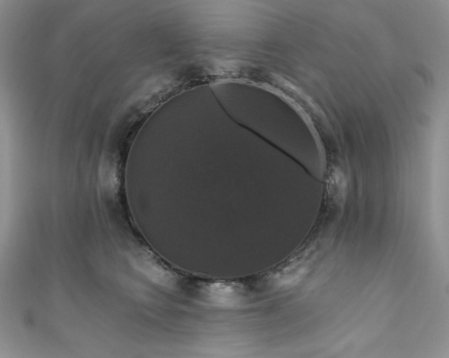 X0000111200566200907011436