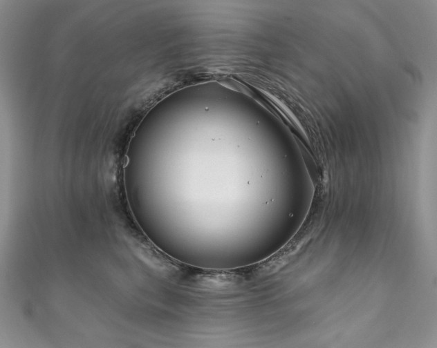 X0000111200567200907011436