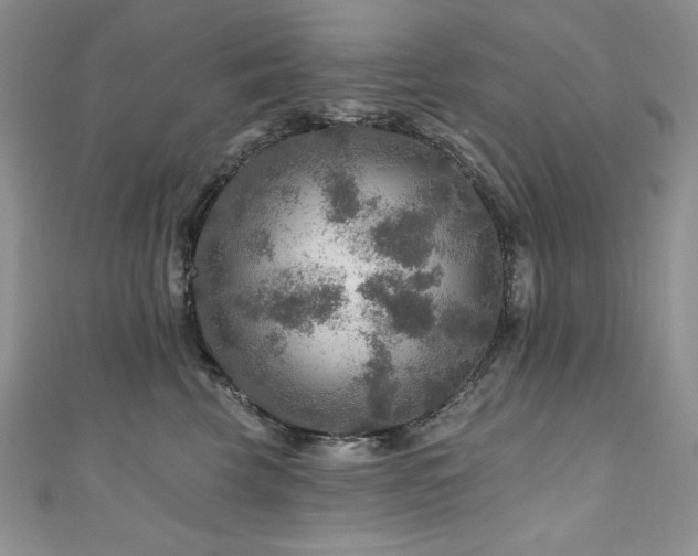 X0000111200569200907011436