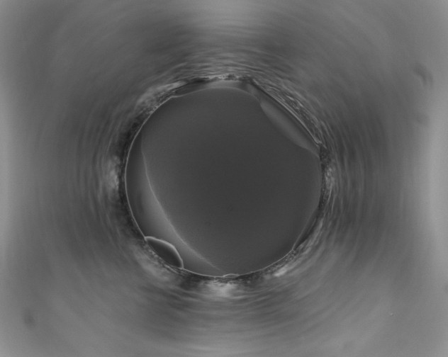 X0000111200570200907011436