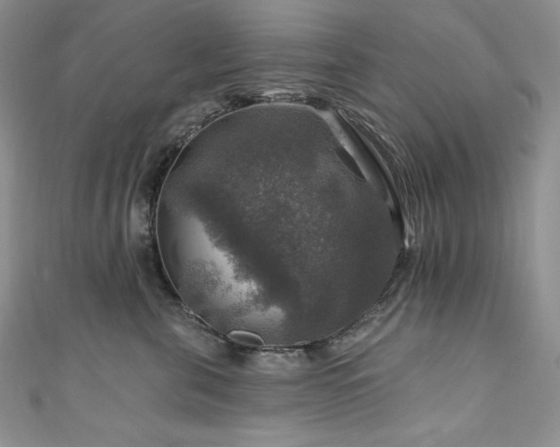 X0000111200571200907011436