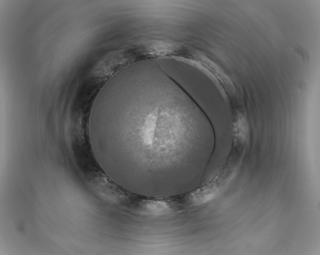 X0000111200572200907011436