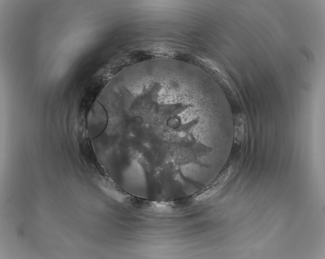 X0000111200573200907011436