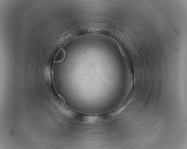 X0000111200575200907011436