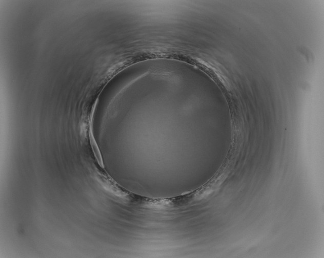 X0000111200576200907011436