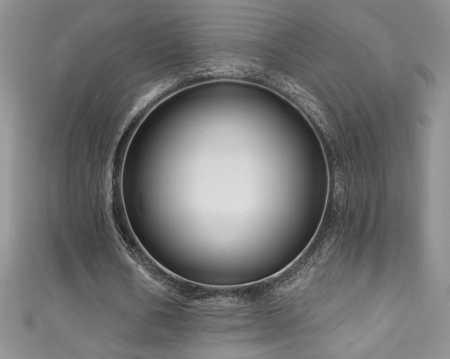 X0000111200578200907011435