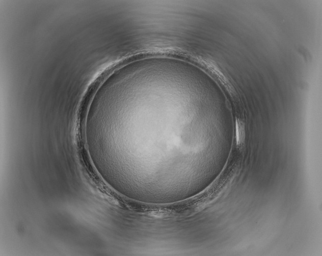 X0000111200579200907011435