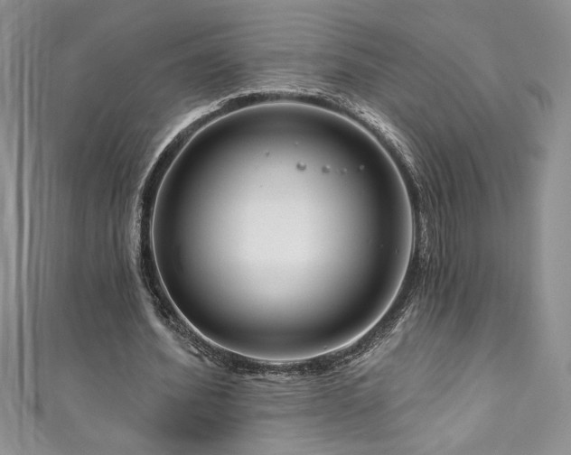 X0000111200580200907011435