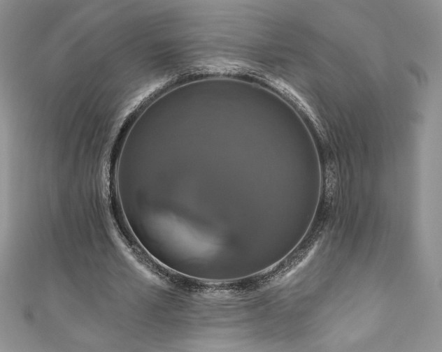 X0000111200581200907011435