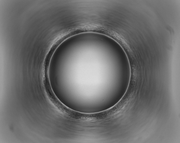 X0000111200582200907011435