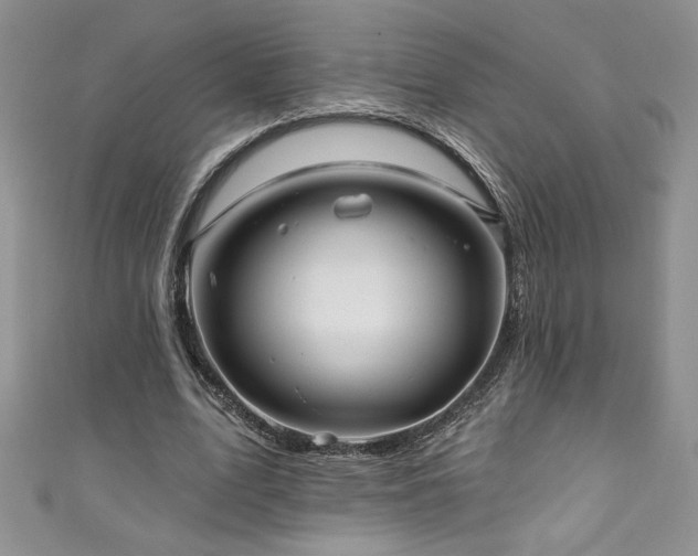 X0000111200583200907011435