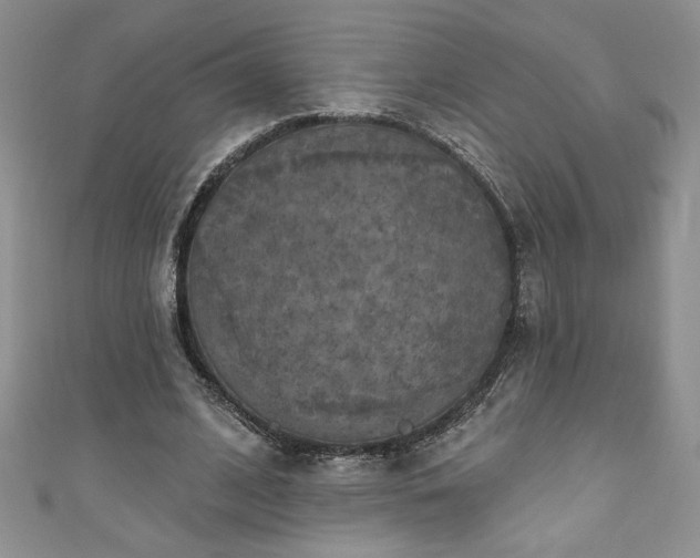 X0000111200584200907011435