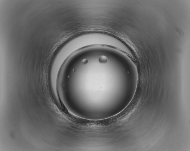 X0000111200585200907011435