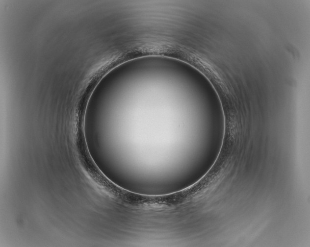 X0000111200586200907011435