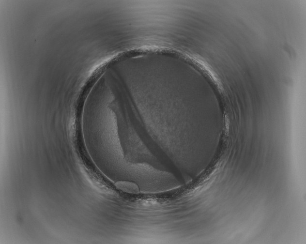 X0000111200588200907011435