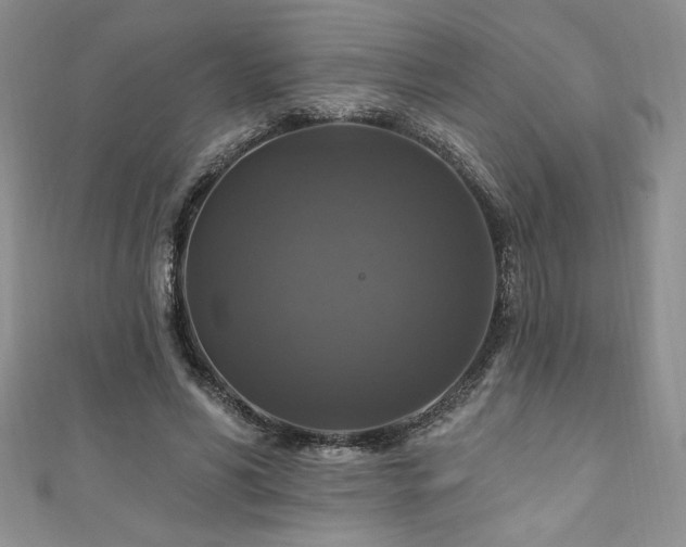 X0000111200590200907011435