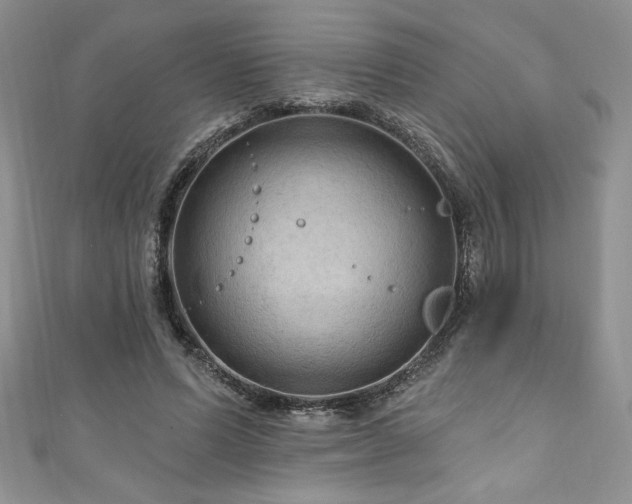 X0000111200591200907011435