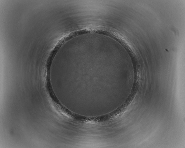 X0000111200592200907011435