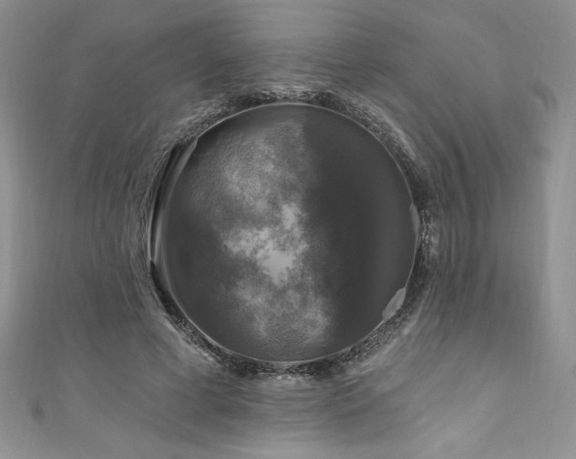 X0000111200593200907011435