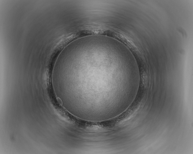 X0000111200594200907011435