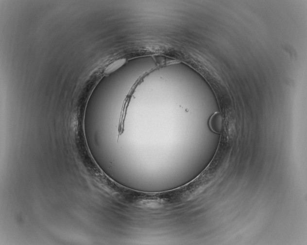 X0000111200595200907011435