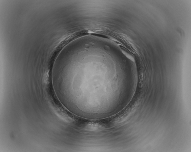 X0000111200596200907011435