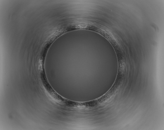 X0000111200598200907011435