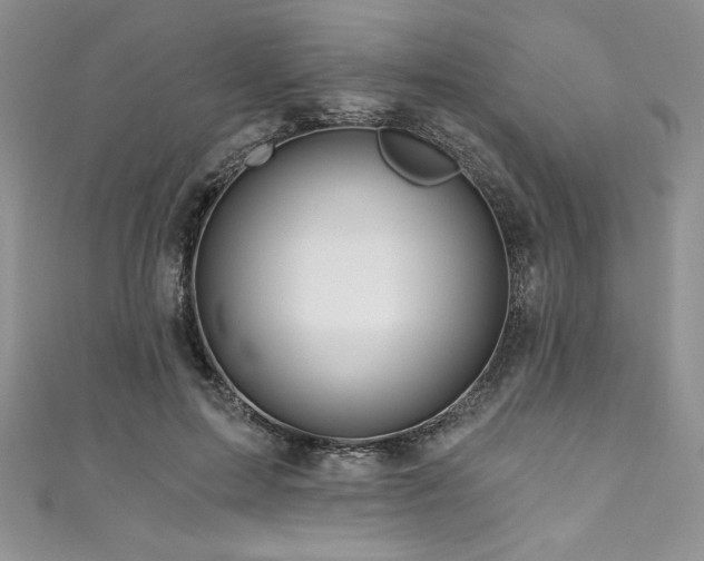 X0000111200599200907011435