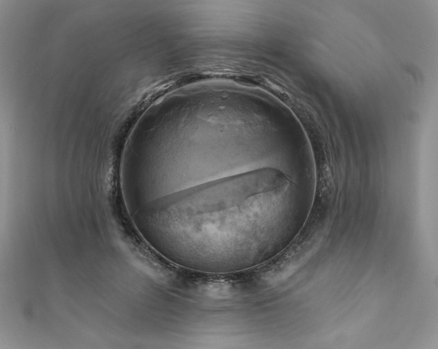 X0000111200600200907011435