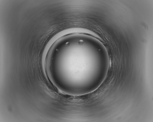 X0000111200601200907011435