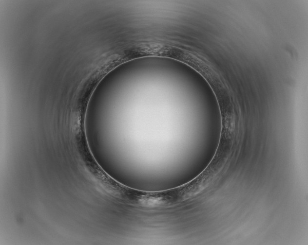 X0000111200602200907011435