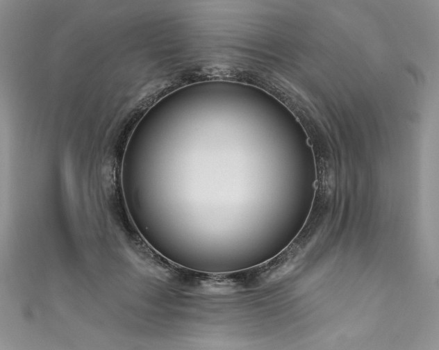 X0000111200603200907011435